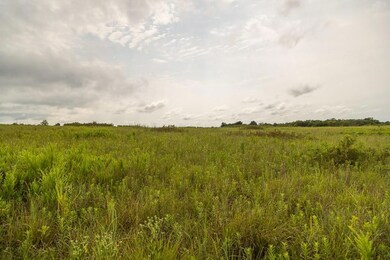 00000 Pflumm Rd, Paola, KS 66071 - photo 2