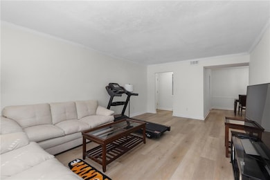 Living area featuring light wood-style floors, vis