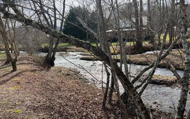 Additional View