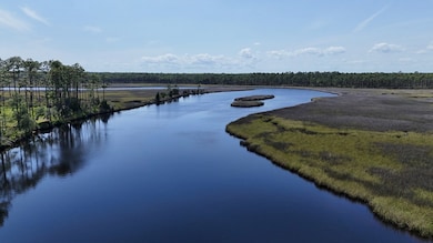 340 Jay Way, Carrabelle, FL 32322 - photo 3