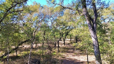000 Bee Creek Rd, Grandview, TX 76050 - photo 2