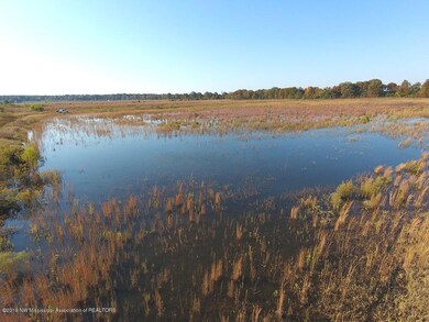 DCIM\100MEDIA\DJI_0089.JPG