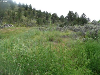 0 Colony Ln, Monument, OR 97864 - photo 5