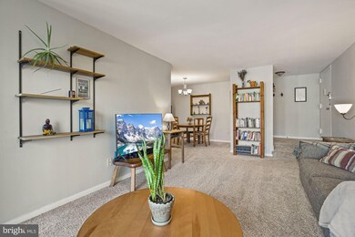 Chestnut Grove Condominiums unit 155, Reston, VA 20190 - photo 4