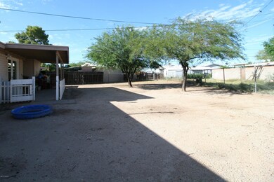 IMG_6384 (2)