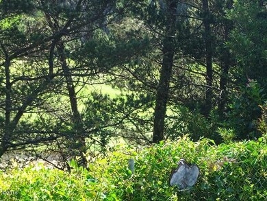 Peek of Golf Course 2
