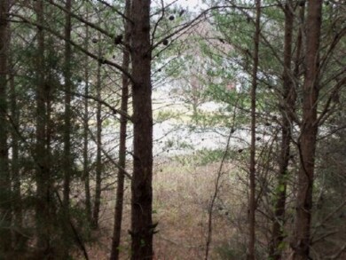 Lot 63 Hidden River Ln, Spencer, TN 38585 - photo 3