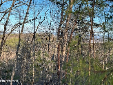 0 Henderson Springs Rd unit 1309284, Pigeon Forge, TN 37863 - photo 3