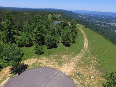 0 Hovering Hawk Dr unit RTC2728212, Jasper, TN 37347 - photo 4