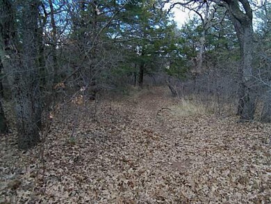 Other. Another trail on the land great for hunting