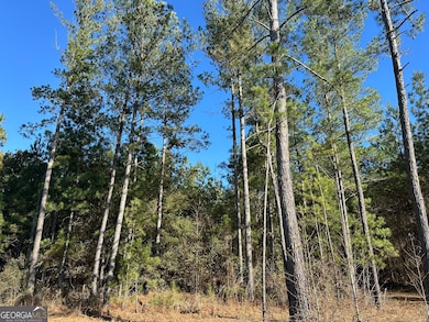 012 Mount Zion Rd, Gordon, AL 36343 - photo 5