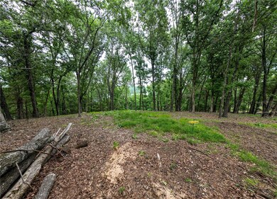Moulder Hollow Lake View