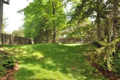 Back Yard 2