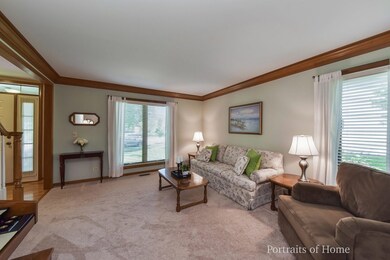 2416 Litchfield Ct, Naperville, IL 60565 - photo 6