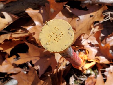 Lot 41 Fernalds Hill Way, Stow, ME 04037 - photo 3