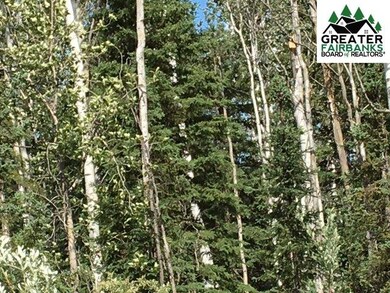 0 Phillips Rd, Delta Junction, AK 99737 - photo 2