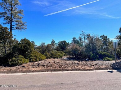 1985 S Twin Peak Trail unit 392, Show Low, AZ 85901 - photo 3