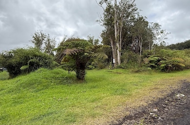 0 Hulu St, Mountain View, HI 96771 - photo 3