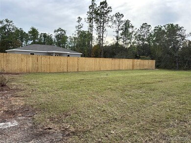 2806 W Arbutus Dr, Dunnellon, FL 34433 - photo 5