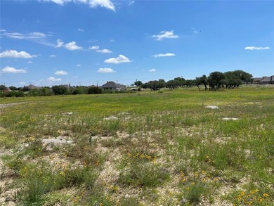 420 Pommel Ct, Weatherford, TX 76088 - photo 5