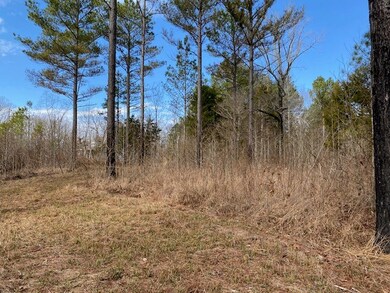 TBD Cr 411, Oxford, MS 38655 - photo 4