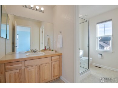 13851 Dexter Way, Thornton, CO 80602 - photo 5