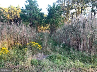 0 Wesley Church unit MDDO2000162, Toddville, MD 21672 - photo 3