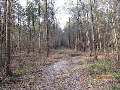 0 Obie Smith Rd unit 2491301, Atlanta, LA 71404 - photo 6