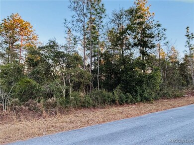 TBD SW Sea Cliff Ave, Dunnellon, FL 34431 - photo 4