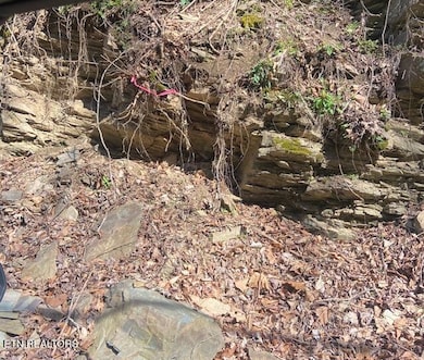marker