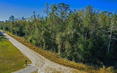 Tbd 51st Dr, Live Oak, FL 32060 - photo 7