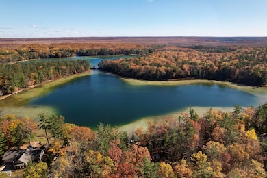 11800 Goodfellow Dr, Frederic, MI 49733 - photo 7