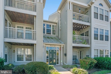 7518B Snowpea Ct unit 38, Alexandria, VA 22306 - photo 4