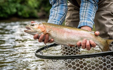 LT83 Old Toccoa Farm, Mineral Bluff, GA 30559 - photo 7