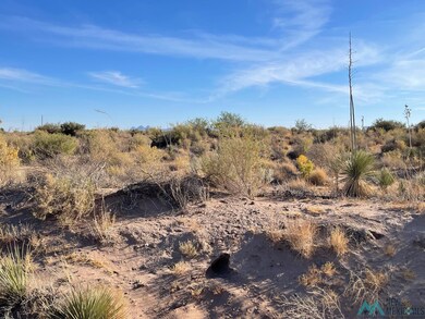 XXXX Pecos Rd SW, Deming, NM 88030 - photo 5