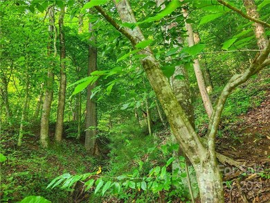 9999 Bent Creek Rd, Ramseytown, NC 28714 - photo 3