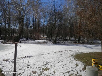 13069 Wild Geese Ln, Smithsburg, MD 21783 - photo 7