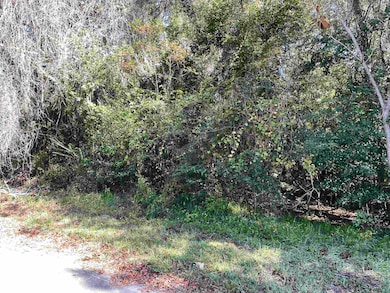 Lot 15 Tharpe Cir, Quincy, FL 32351 - photo 6
