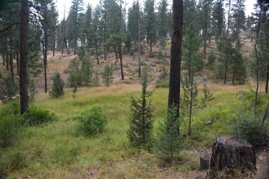 0 Luce Creek Rd unit 220109938, John Day, OR 97845 - photo 5