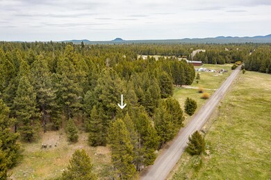 DJI_0159