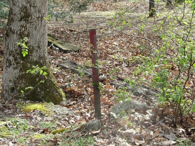 0 W 13 Th St, Jim Thorpe, PA 18229 - photo 4