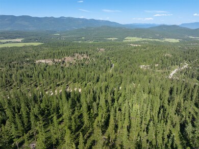 220 Chinook Lake Rd, Whitefish, MT 59937 - photo 4