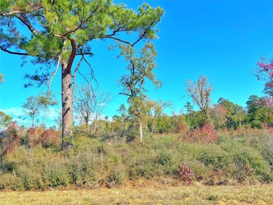 TBD Fm 2022, Grapeland, TX 75844 - photo 4