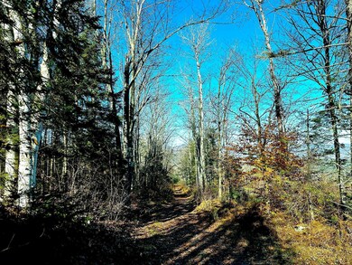 0 Buck unit 4976606, Dalton, NH 03598 - photo 6