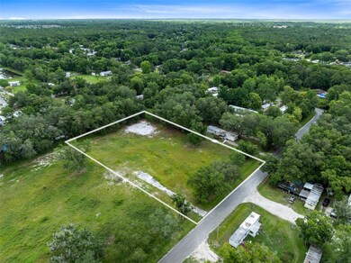 0 Wilson Rd, Bithlo, FL 32833 - photo 3