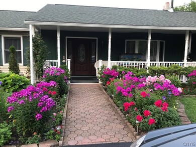Spring flowers.