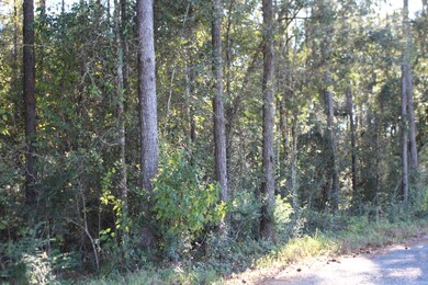 3.9 Basin-Central Rd, Lucedale, MS 39452 - photo 3