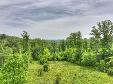LOT 13 Hidden Acres, Blue Ridge, GA 30513 - photo 5