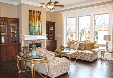 Living Room Built-ins