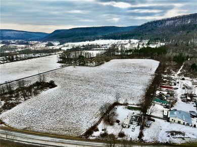 0 Conkrite Rd, Cayuta, NY 14824 - photo 4